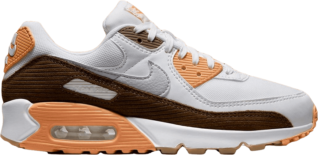 Nike Air Premium